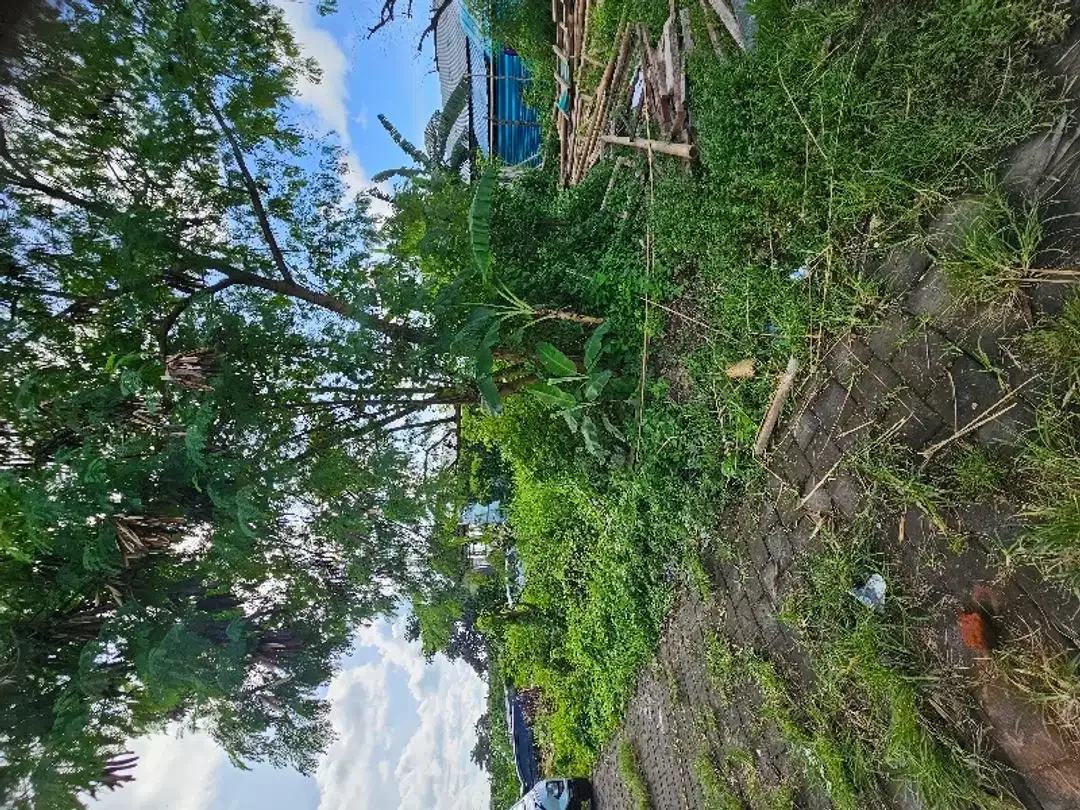 Disewakan Tanah di Areal strategis  canggu dan pererenan - Image 8 of 8