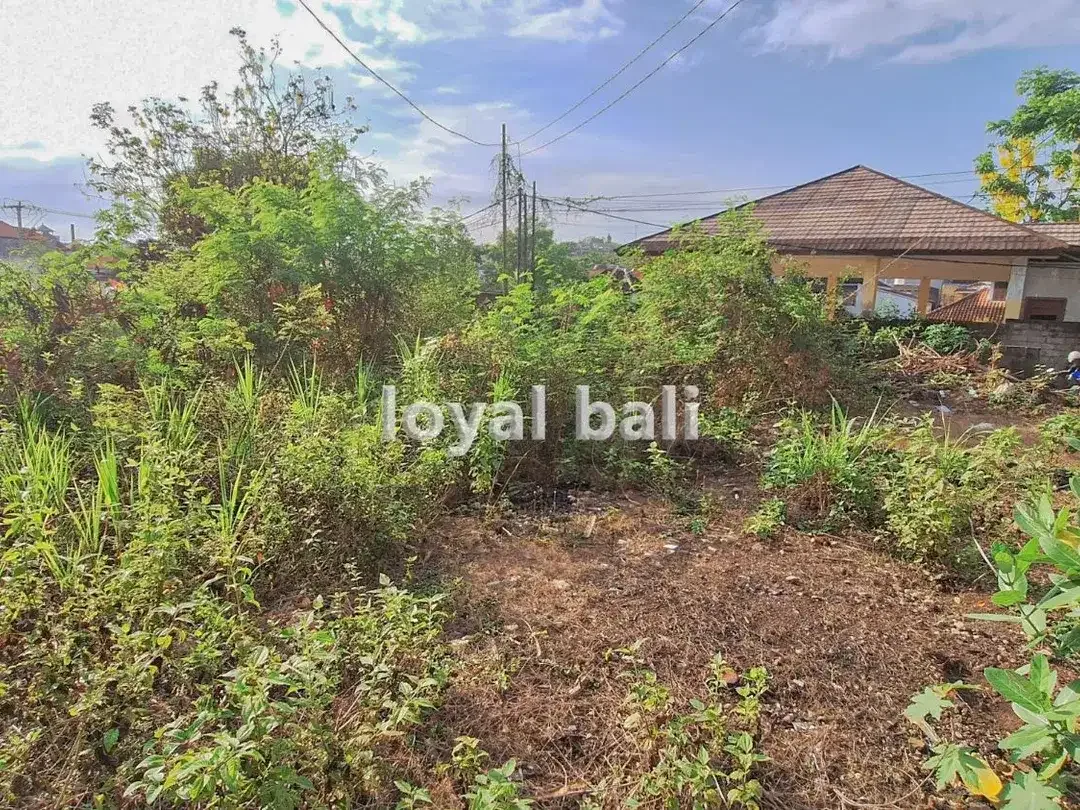 Ideal Land for Elite Kost Near Udayana Campus in Jimbaran, Bali - Image 3 of 5