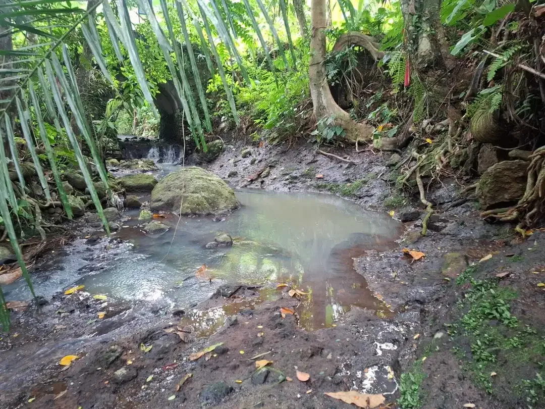 Dijual murah tanah kebun view sawah dan los sungai - Image 7 of 10