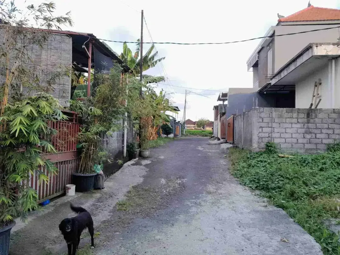 TANAH BUDUK DEKAT TUMBAKBYUH VIEW SAWAH COCOK UNTUK VILLA ATAUPUN GUESTHOUSE - Image 5 of 10