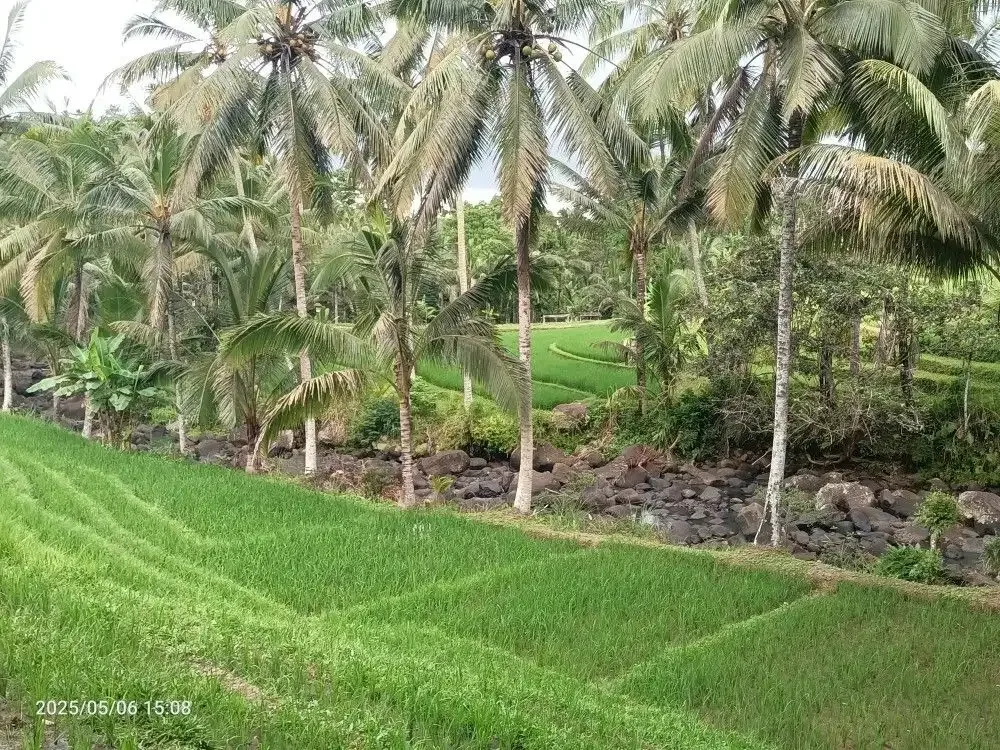 Tanah View Sawah dan Sungai dekat Villa Bali Lush dan Green Retreat - Image 1 of 10