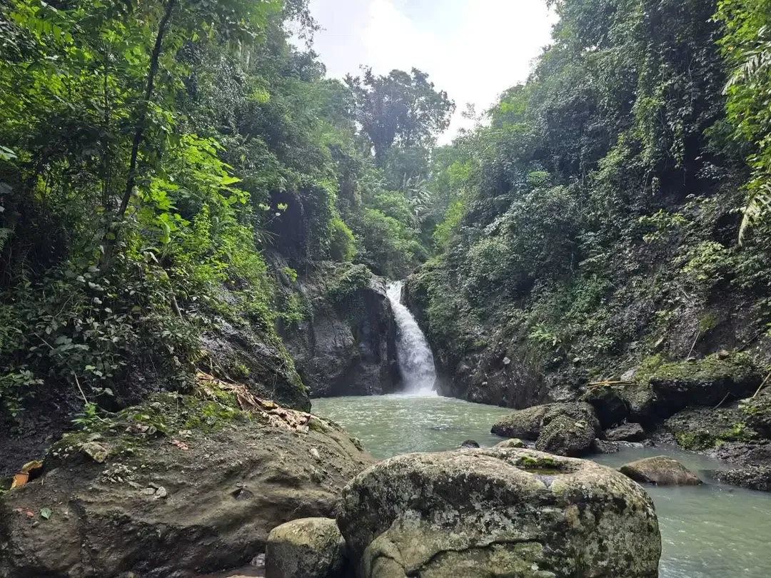 Dijual tanah dengan air terjun dan sungai cantik di bali - Image 2 of 10