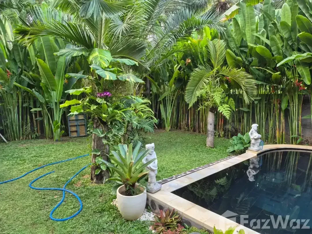 2 Bedroom Villa for sale in Lovina, Bali - Image 4 of 10