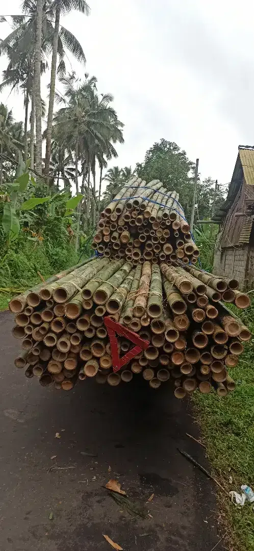 Dijual kayu lokal - Image 4 of 10