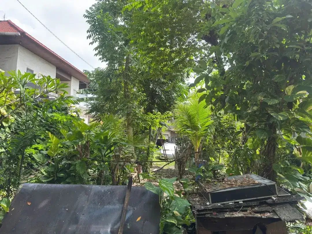 SULTAN KOS-KOSAN MERAPAT!  Kesempatan emas punya lahan strategis di tengah Kota Denpasar! - Image 3 of 7