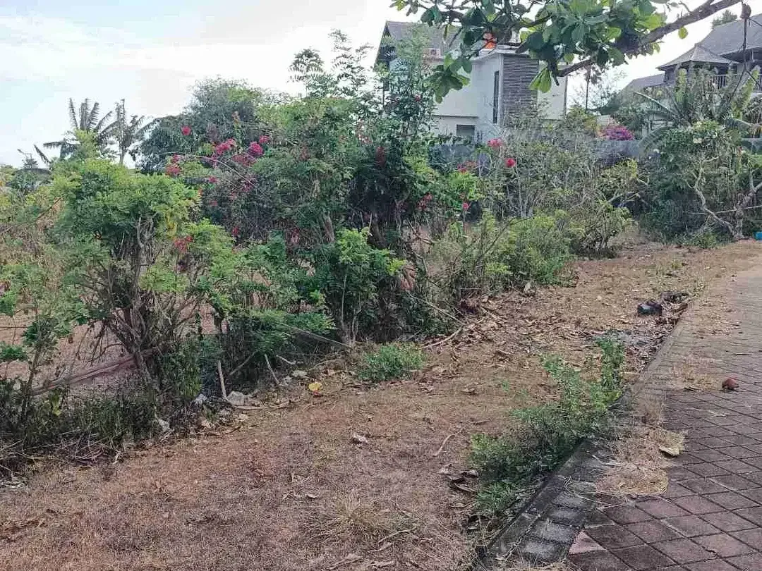 Pink Zone Land for Leasehold in Pandawa beach Bali - Image 2 of 3