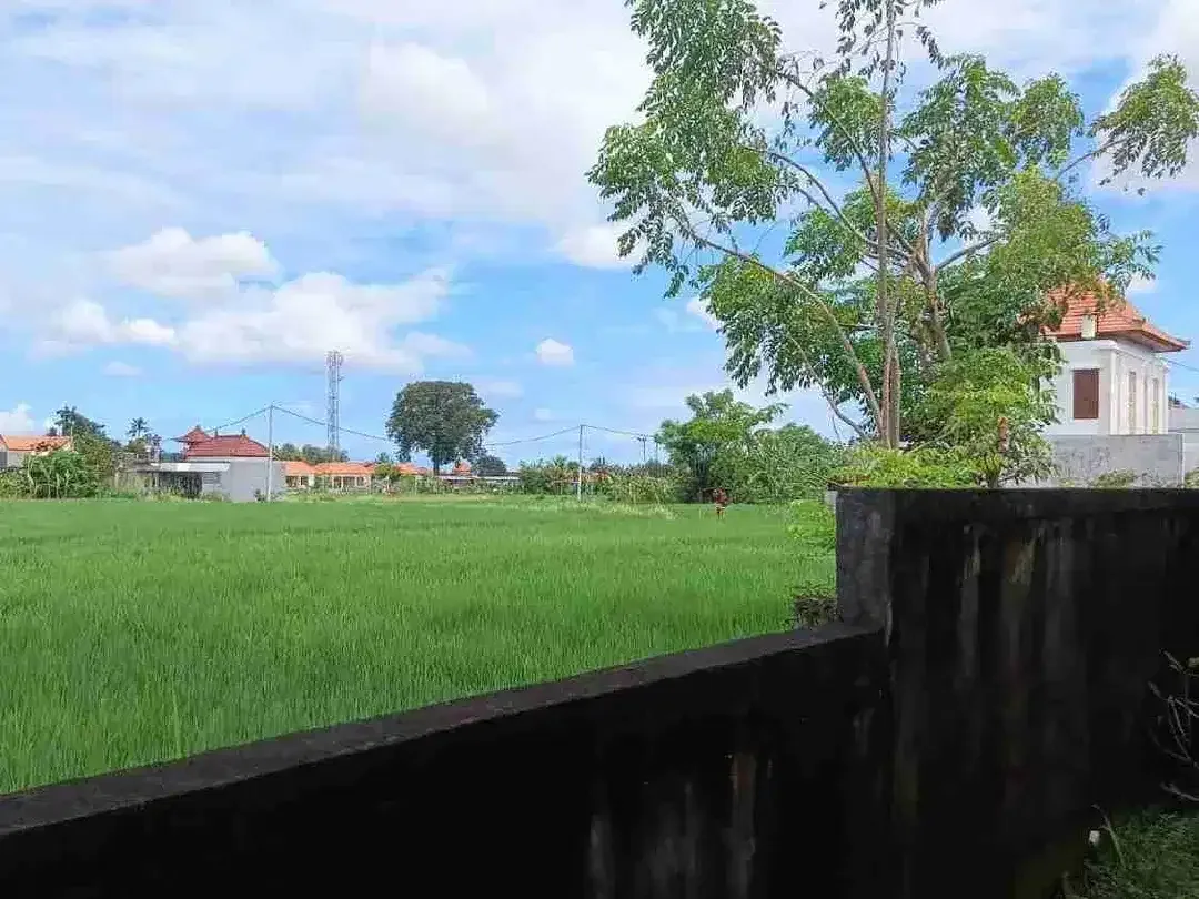 Rumah View Sawah Sukawati Gianyar Bali - Image 2 of 4