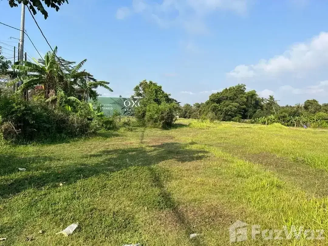 Land for sale in Nyanyi, Bali - Image 2 of 5