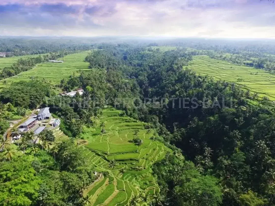 Luxury Boutique Resort & Spa in Ubud - Image 5 of 10