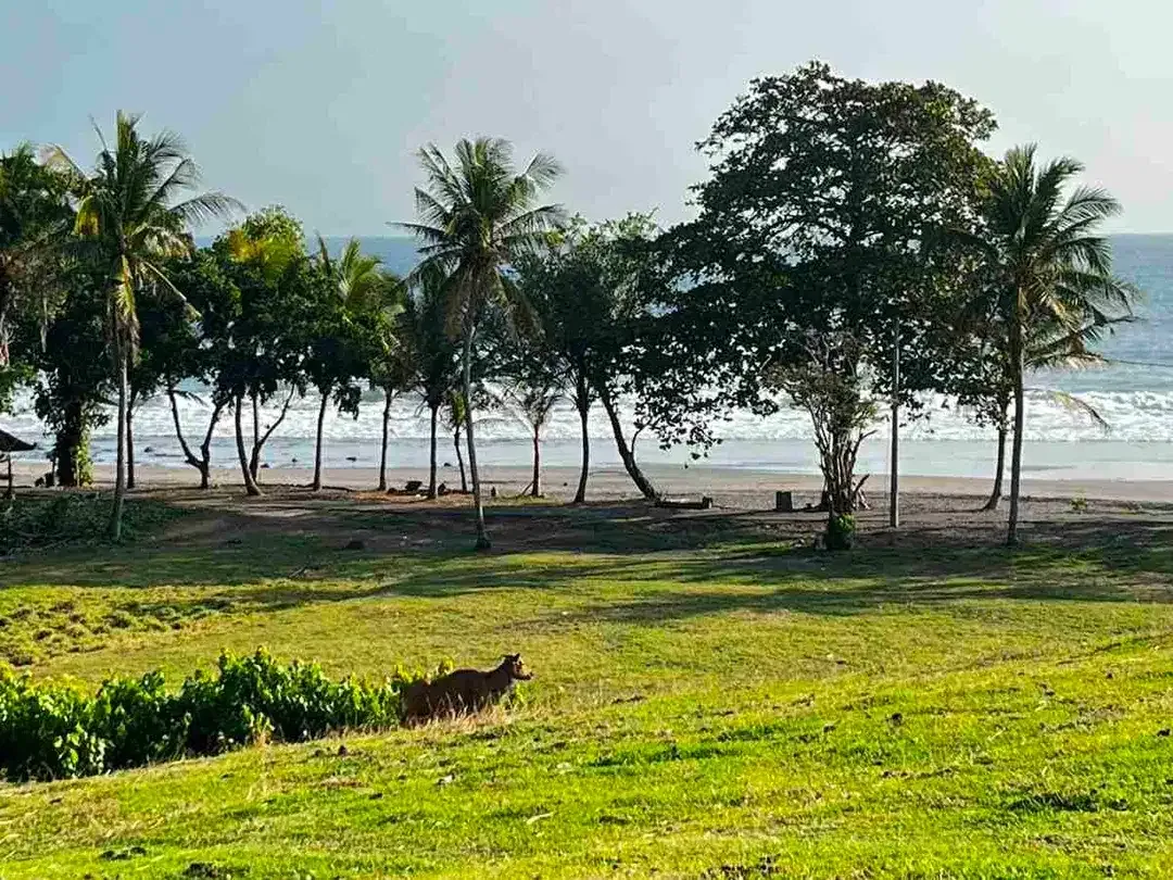 dijual tanah Los pantai kelecung tabanan bali - Image 4 of 10