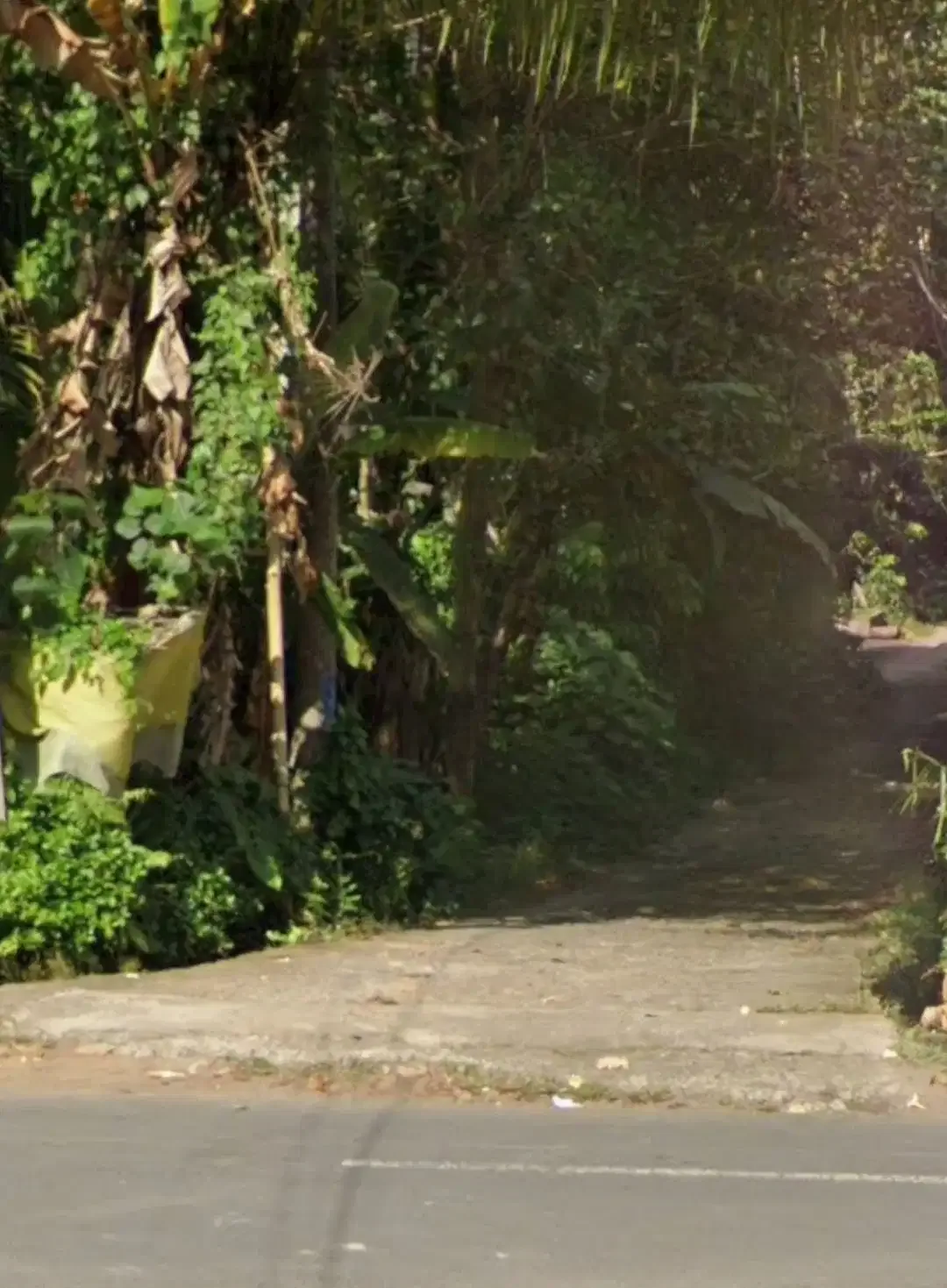 Tanah View Jungle di Bresela dekat Ubud Bali - Image 6 of 6