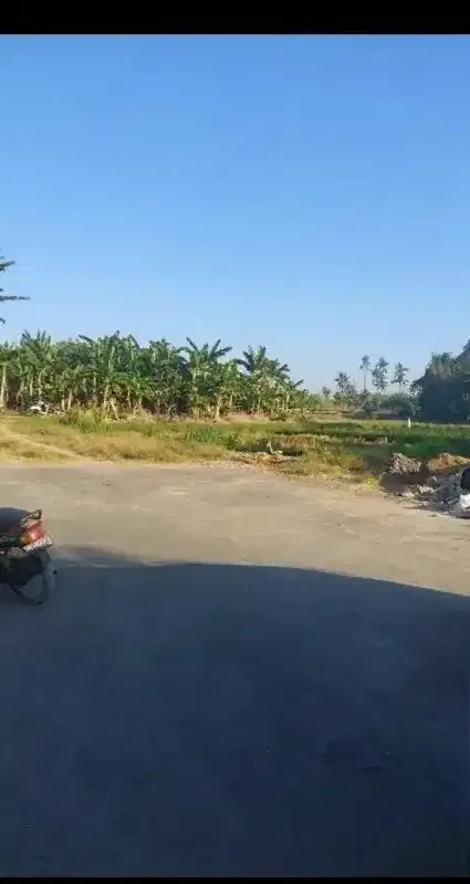 Dijual Tanah 42a di pinggir Jln Bay Pas IB Mantra Ketewel Bali - Image 6 of 8