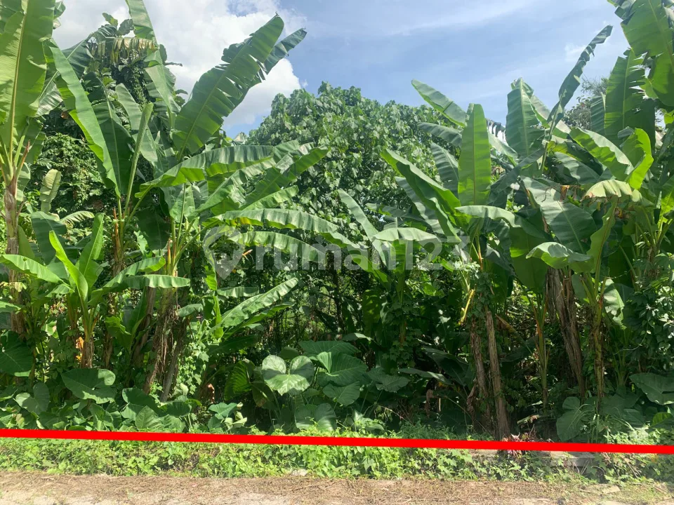 Land For Sale In Quiet Area At Subamia Tabanan Close To Tabanan City, Suitable For Housing Area - Image 1 of 4