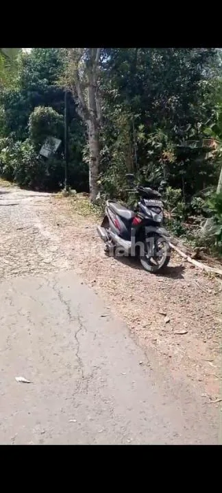 Jual Tanah Kebun Murah di Tabanan - Image 2 of 4