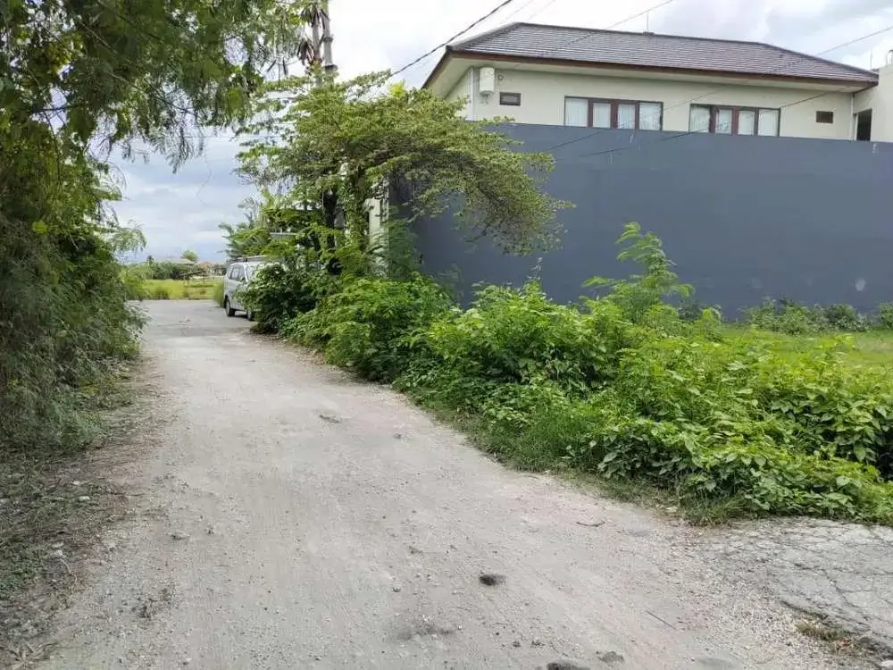 DIJUAL TANAH AREA VILLA LOKASI CANGGU - Image 3 of 4