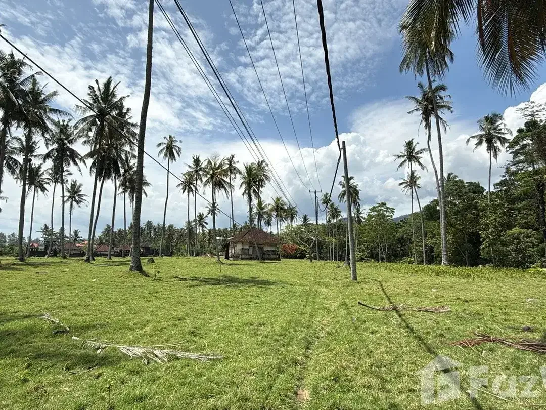 Land for sale in Balian, Bali - Image 7 of 10