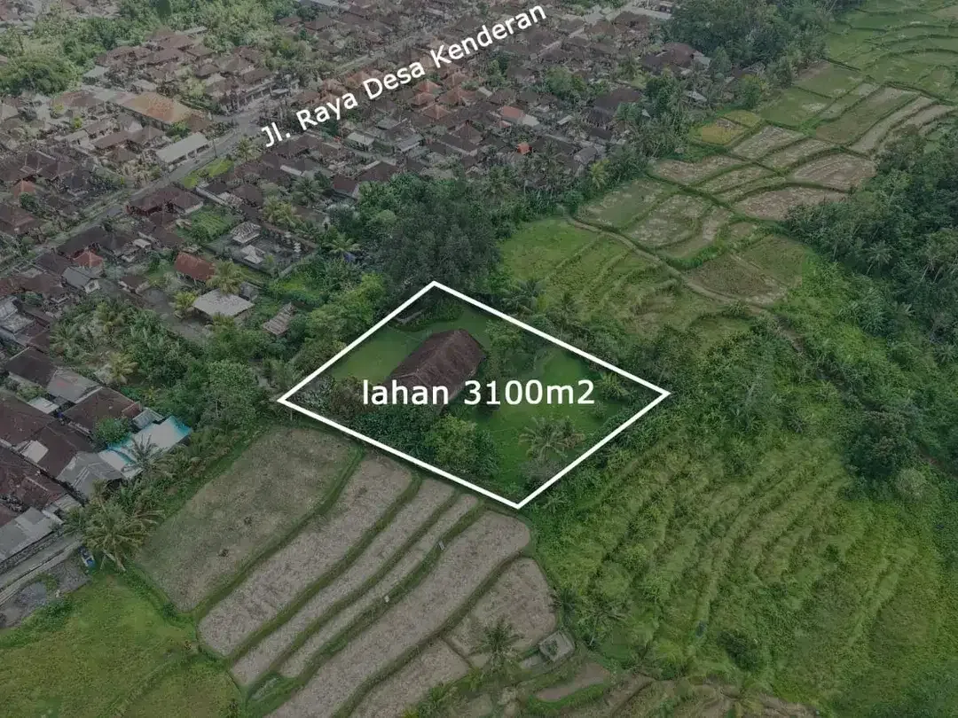 Dijual Tanah Bonus Rumah, Tanah dengan Pemandangan Sawah & Gunung di Tegallalang Ubud - Image 4 of 7