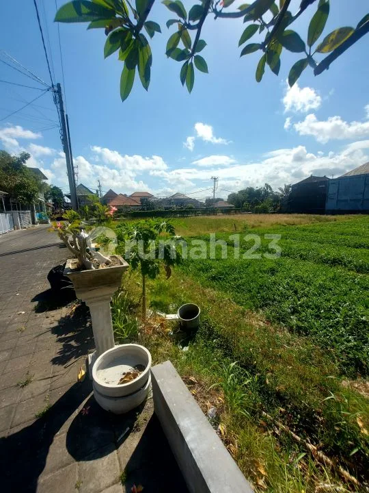 Disewakan Rumah 2 Lantai View Sawah Lokasi Jalan Kertadalem Sidekarya Denpasar Selatan - Image 4 of 4