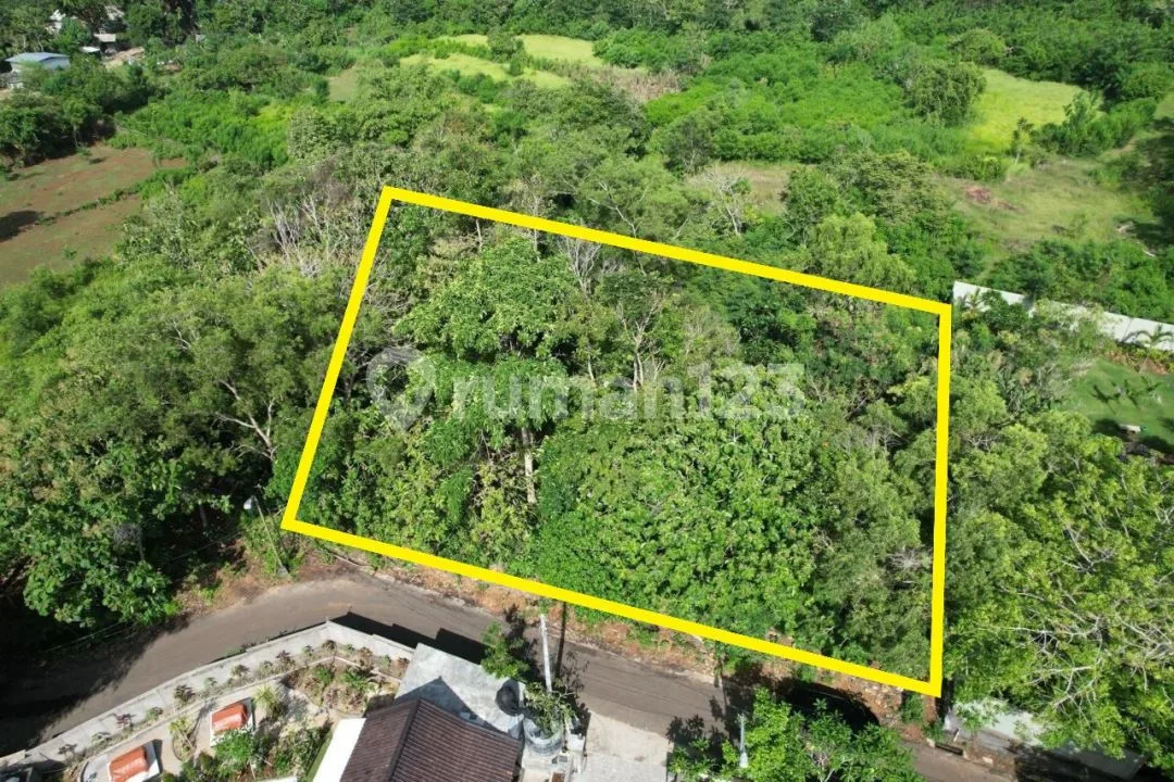 Tanah Murah di Uluwatu Pecatu 1980MÂ² Dekat Nyang Nyang Nyang Beach - Image 4 of 4