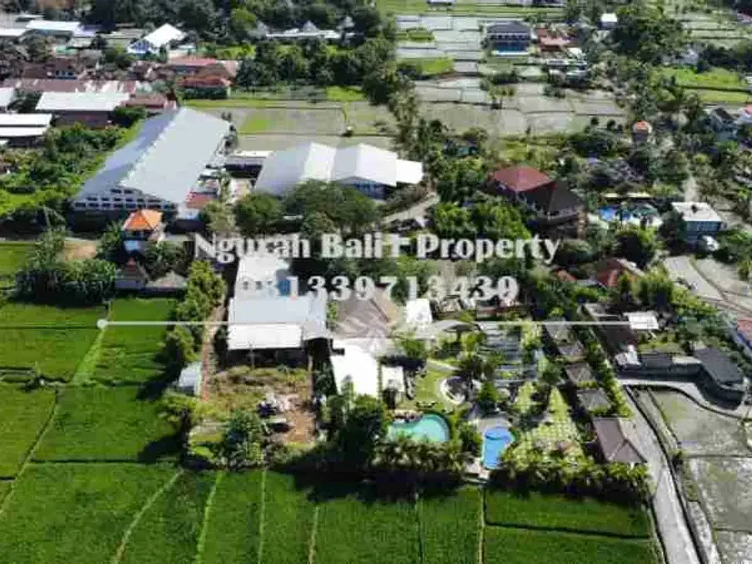Land For Rent Murah 2160 m2 View Sawah Kawasan Villa di Ubud - Image 4 of 6