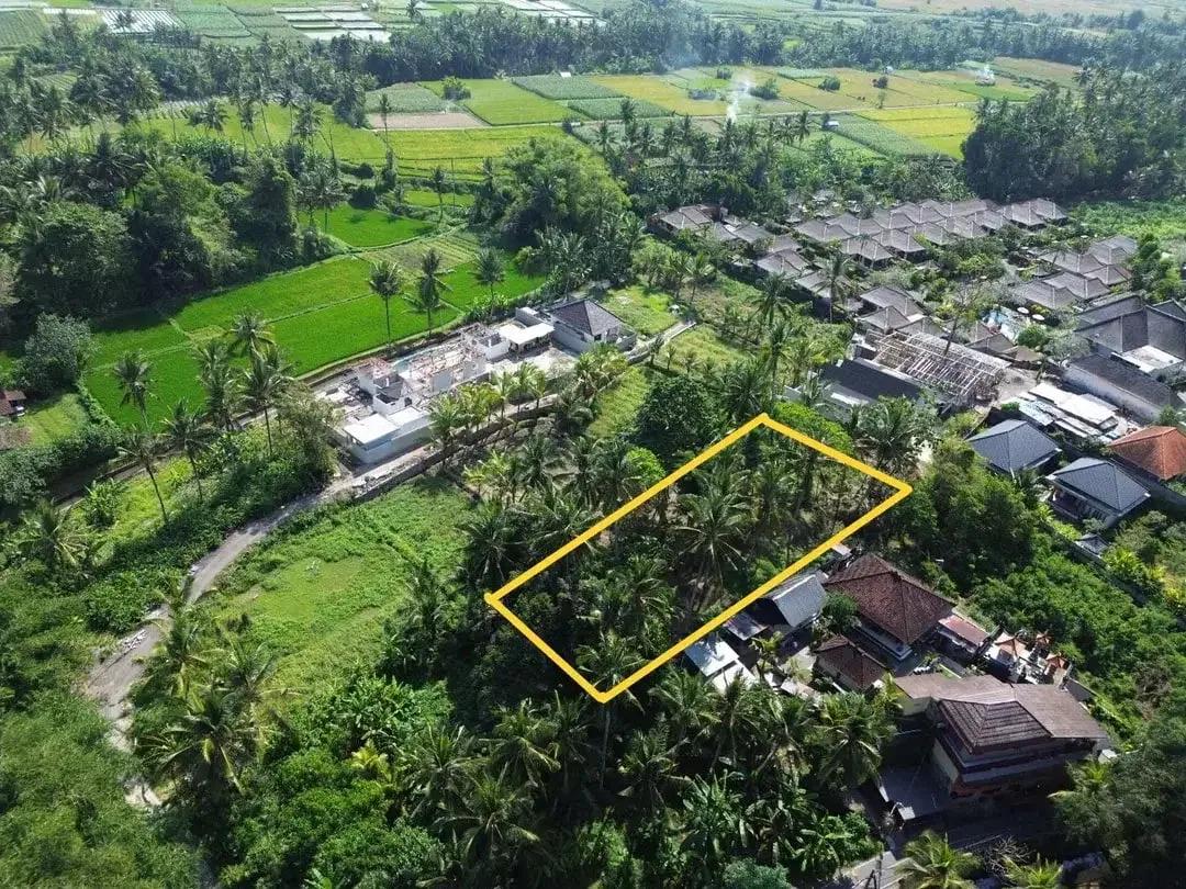 [DIJUAL] Tanah Matang 10,5 Are Zona Campuran di Mambal Badung – Dekat Green School & Ubud - Image 3 of 10