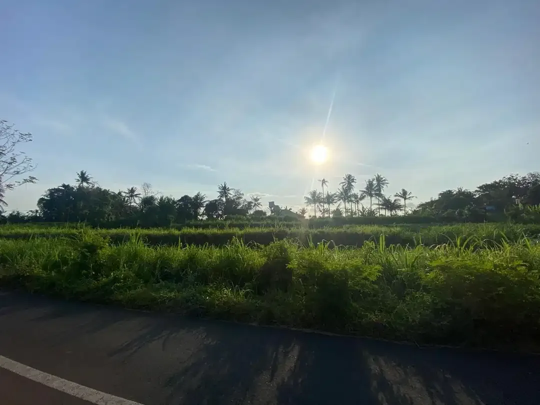 BUC Tanah 21 are Pinggir Jalan Utama di Pering Gianyar - Image 1 of 6