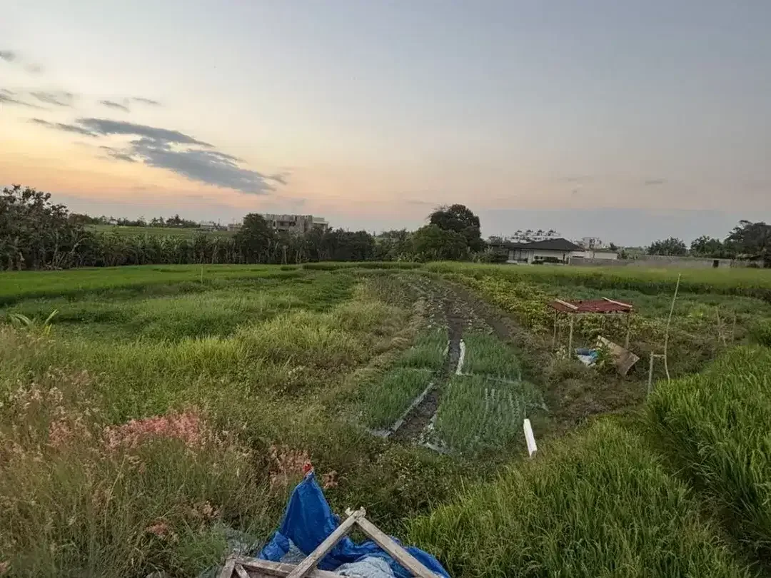 TANAH KOSONG DI SESEH BADUNG DEKAT PANTAI SESEH - Image 3 of 6