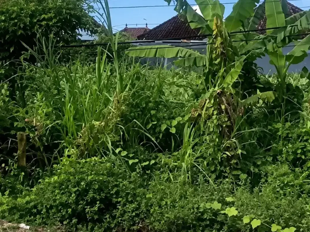 DIJUAL TANAH PREMIUM DI JL. DRUPADI, RENON – DENPASAR - Image 1 of 4