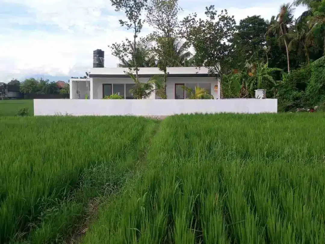 DISEWAKAN VILLA VIEW SAWAH DEKAT PANTAI KEDUNGU BG - Image 1 of 10