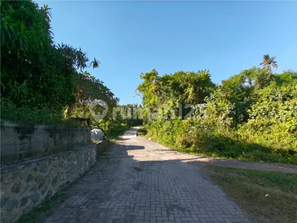Rare Beach Land - Only 100Meters Walk To Soan Galuh Beach, Tabanan - Image 4 of 4