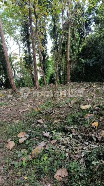Tanah Jual Lokasi Kaba Kaba - Image 1 of 3