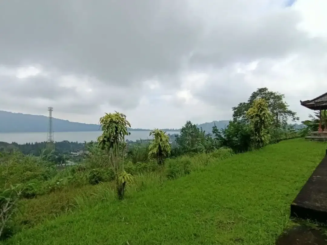 Tanah View Danau di Candikuning Bedugul - Image 7 of 10