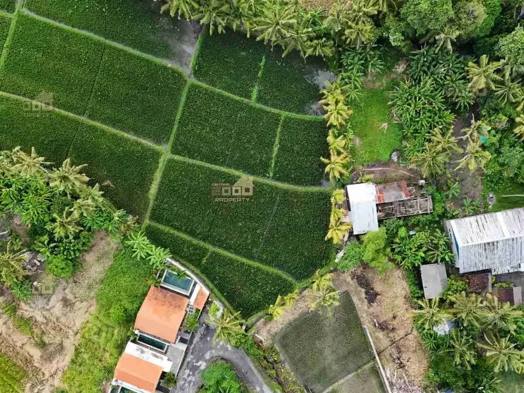 New Project Tanah Kavling Pantai Nyanyi, Bali - Image 6 of 8
