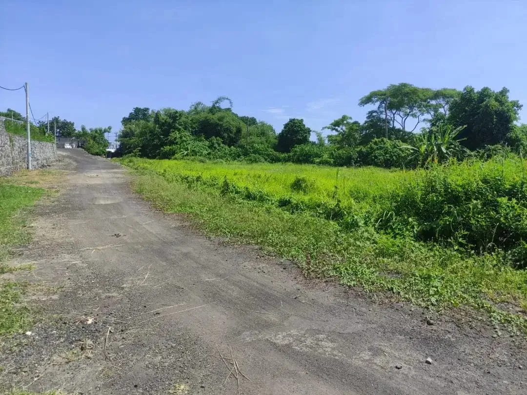 TANAH  STRATEGIS di  BY PASS IDA BAGUS MANTRA KETEWEL SUKAWATI BALI - Image 9 of 10