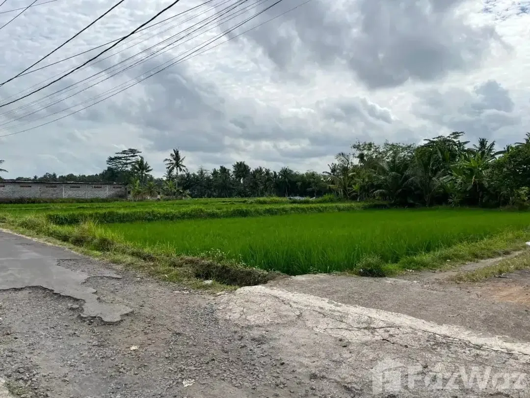Land for sale in Pejeng, Bali - Image 3 of 5