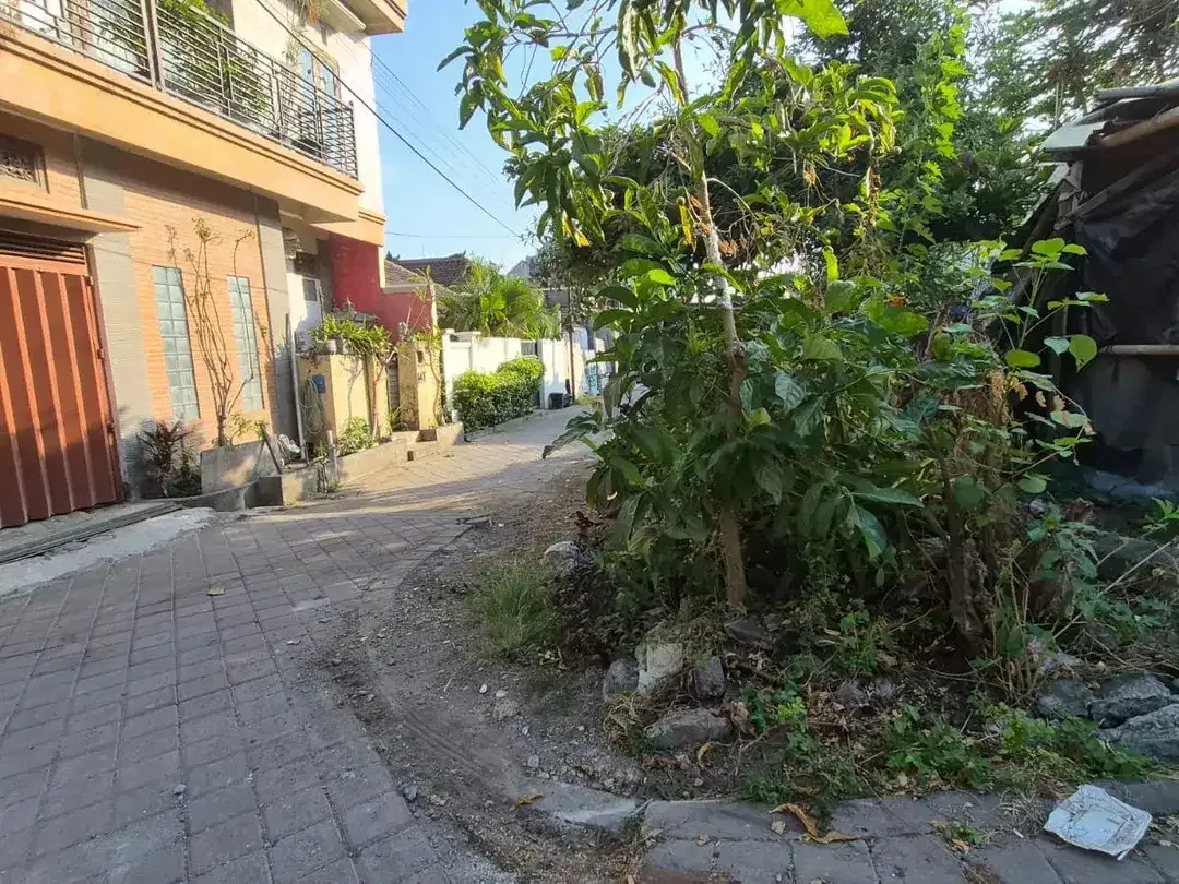 Freehold - Land for sale in premium area Berawa, Canggu, Bali - Image 4 of 10