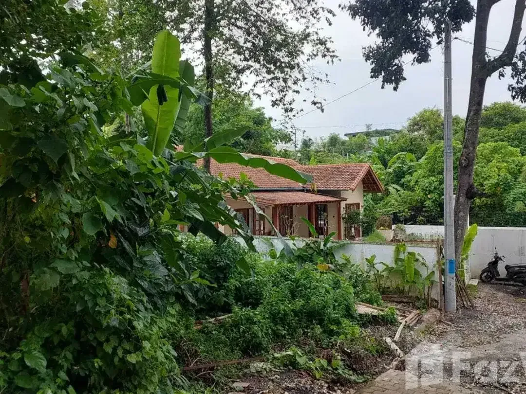 Land for sale in Kerobokan, Bali - Image 3 of 5