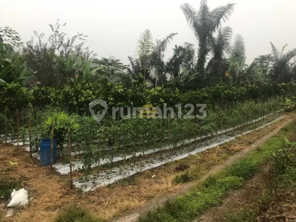 Tanah Jual Lokasi Belok Sidan - Image 2 of 3