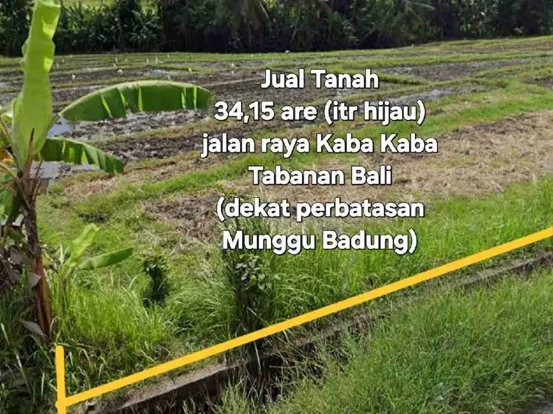 Jual Tanah 34,15are jln raya Kaba Kaba area Munggu Bali - Image 3 of 10