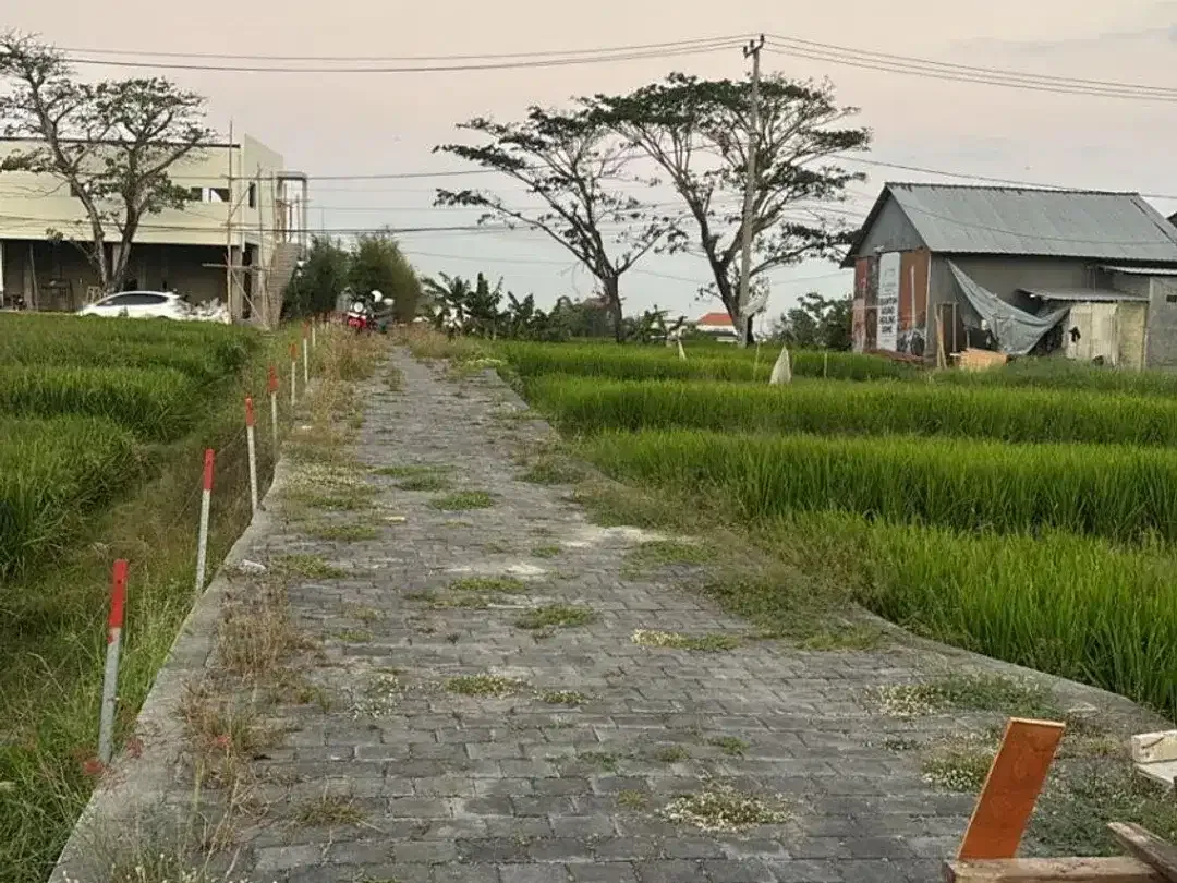 TANAH KOSONG DI SESEH BADUNG DEKAT PANTAI SESEH - Image 5 of 6