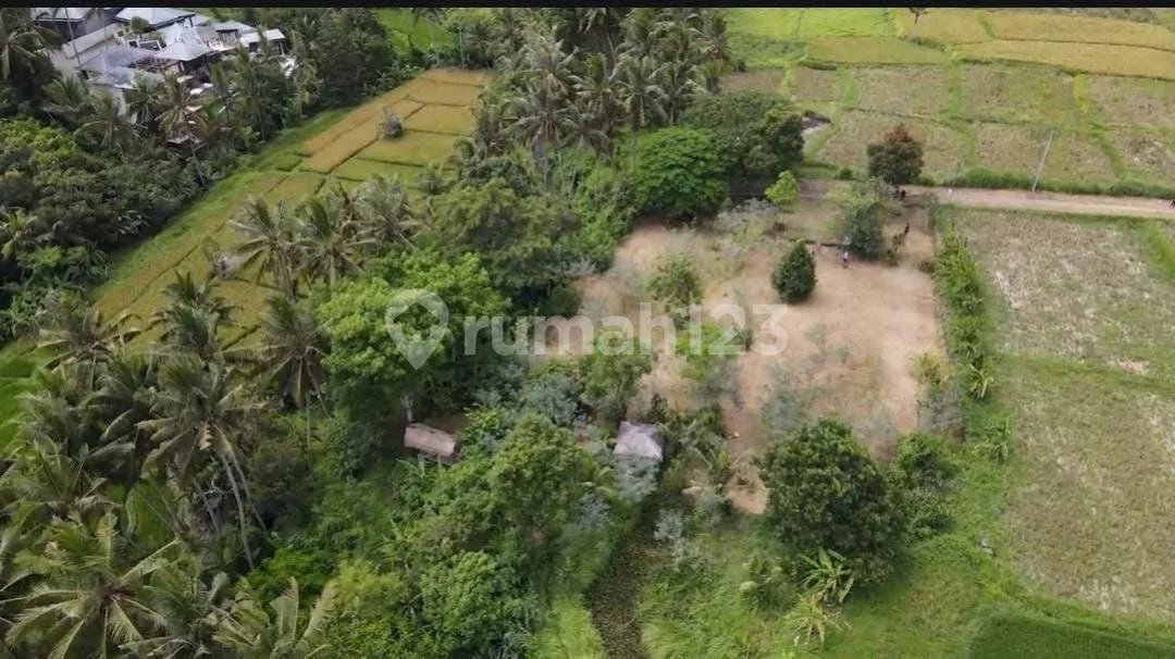 Dijual Tanah Strategis Lodtunduh Ubud - Image 3 of 4