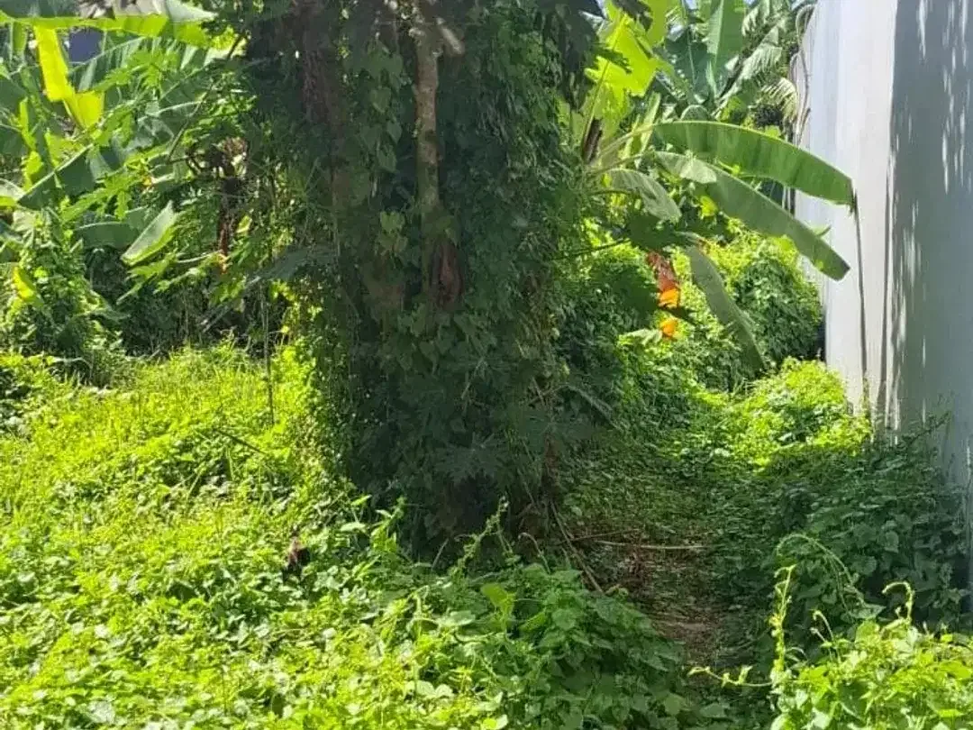 DI JUAL TANAH PINGGIR JLN UTAMA / COCOK UNTUK SEGALA JENIS USAHA - Image 4 of 5