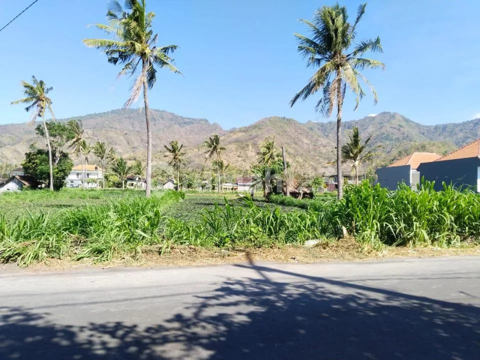 Tanah Jalan Utama Bias Lantang Karangasem #Tj8438ry - Image 3 of 4