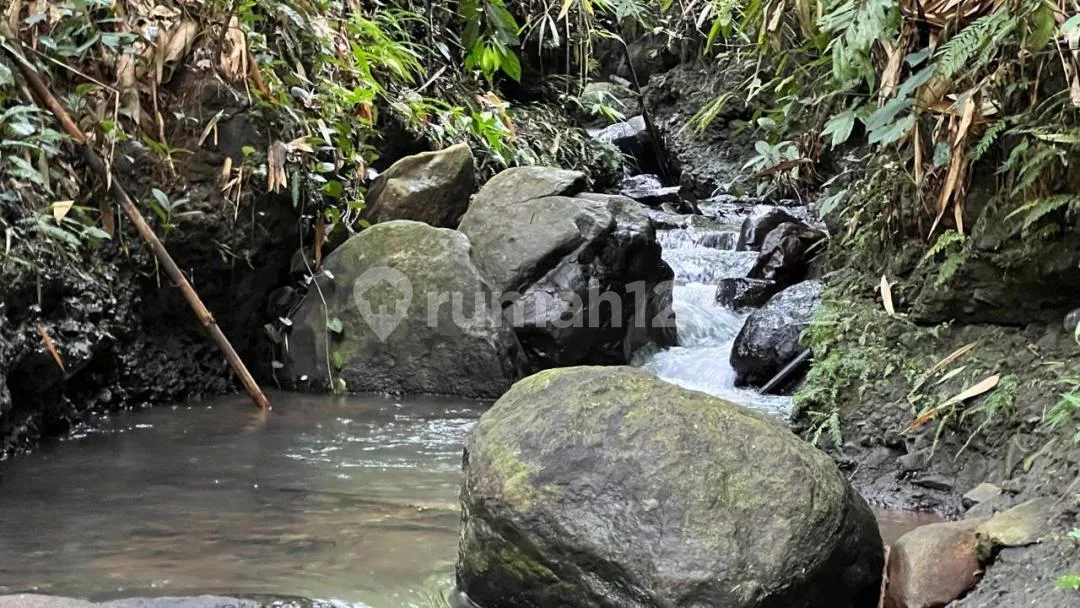Jual Tanah Kebun View Sawah Los Sungai Ditabanan Bali - Image 2 of 4