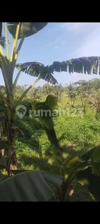 Dijual Tanah Lingkungan Villa di Mas Ubud - Image 1 of 4
