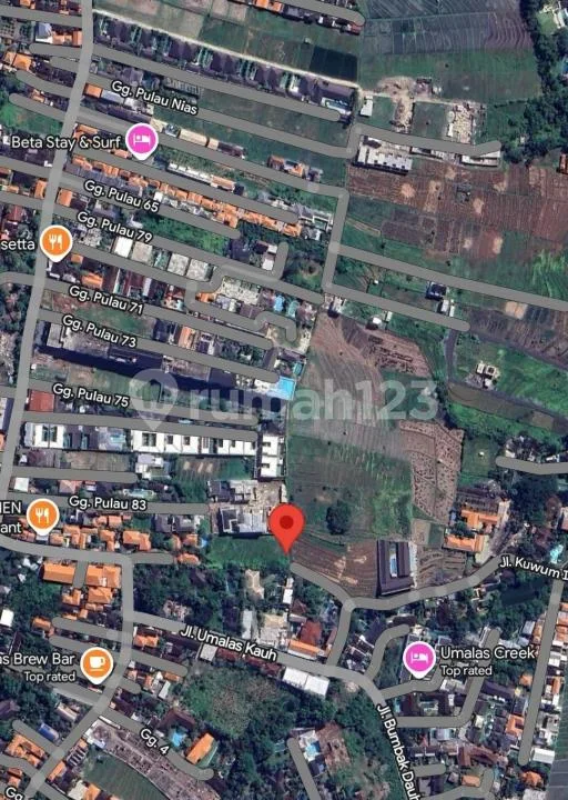 Tanah Strategis Zona Kuning View Sawah di Umalas 2, Kerobokan - Image 4 of 4