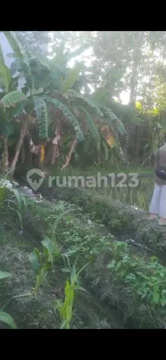 Dr Ijual Tanah dan Sawah Indah Dalung Bali - Image 2 of 4