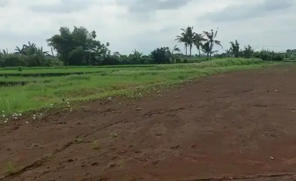 DIJUAL TANAH DEKAT PANTAI KEDUNGU TABANAN - Image 6 of 6