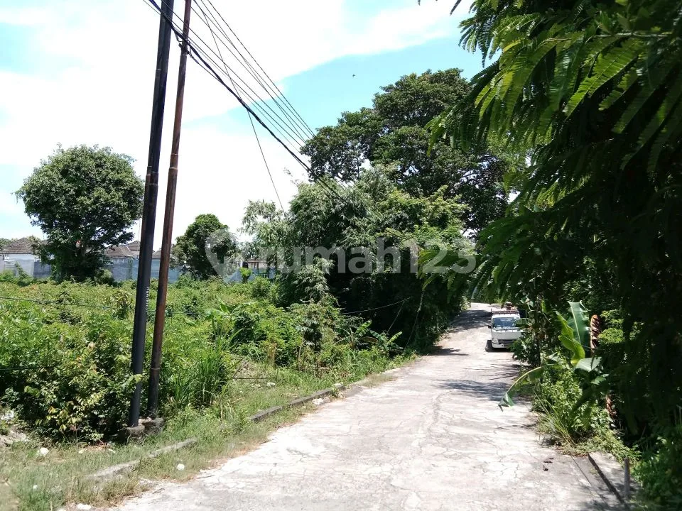 Investor Alert: Tanah Premium SHM 6.960 M2 Mumbul Nusa Dua Bali - Harga Jauh di Bawah NJOP! - Image 3 of 4