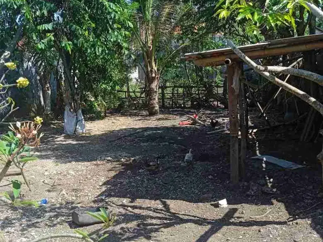 DIJUAL CEPAT TANAH LOKASI UNGASAN - Image 1 of 5
